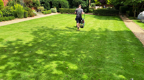 A lawn going through the process of aeration
